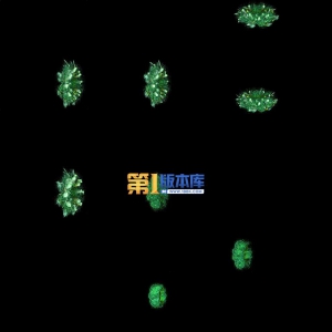 1-17-草木之